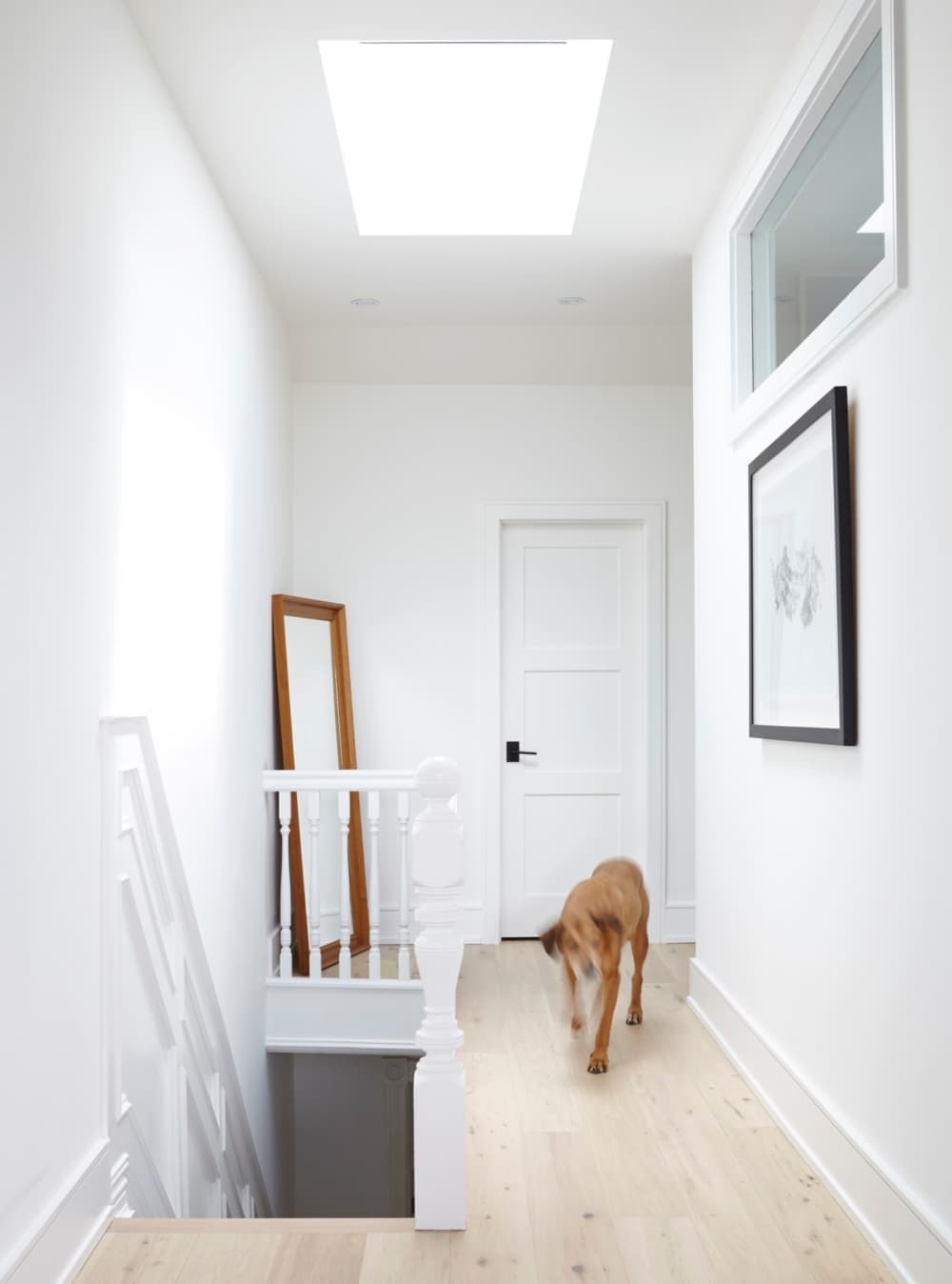 Robinson interior stairs