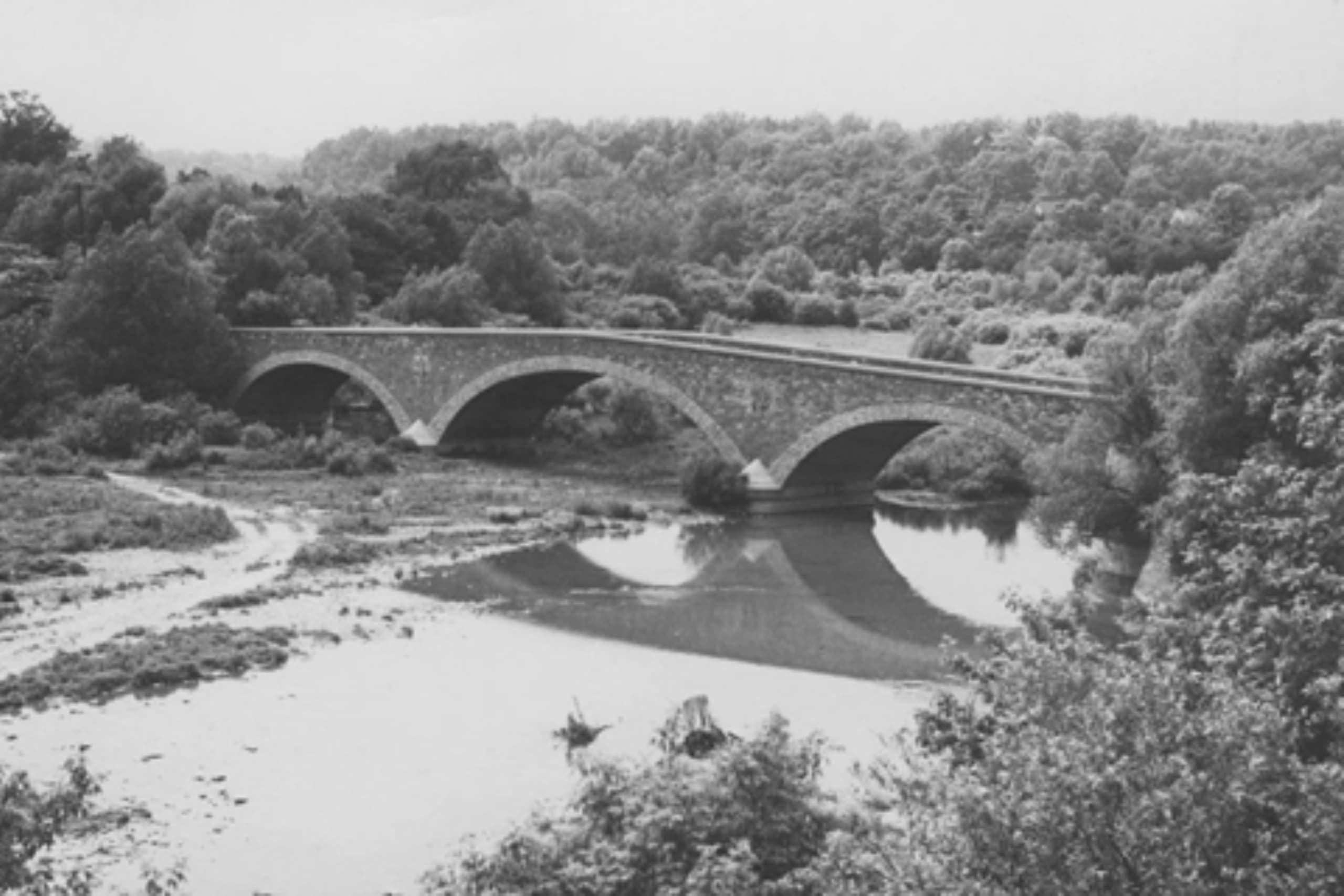 Mimico PHOTO Slideshow 1 sm